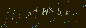 Validation image